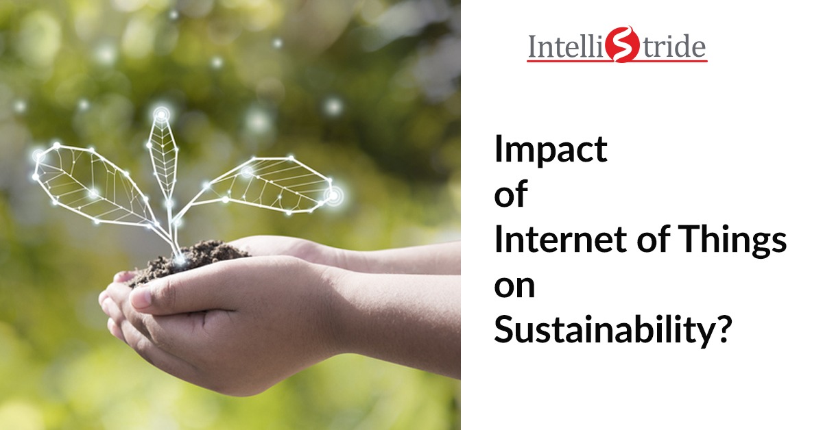 Impact of internet of things on sustainability