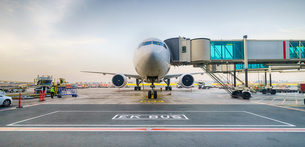 RFID/IoT in Baggage Tracking and Aviation Environment